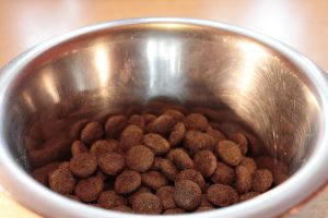 food-bowl-281978_960_720
